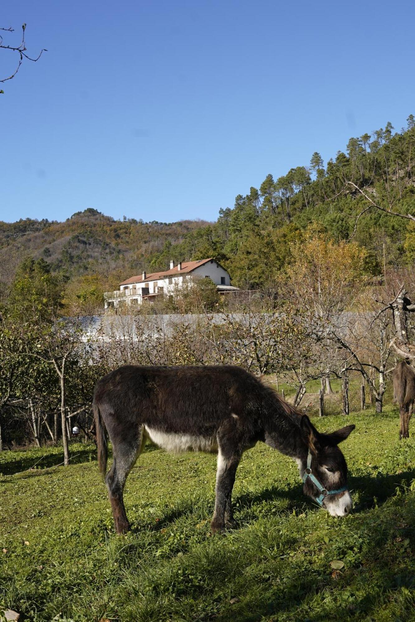 Agriturismo Ca Du Chittu Carro Exterior foto